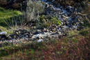 1D Mk4 Fotos | 1D Mk4 Images