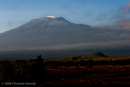 Kilimanjaro