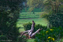 Landschaft