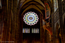 Cathedral Strassbourg |Canon EOS-1D Mark IV|EF17-40mm f/4L USM|40 mm|1/100 sec at f / 4,0|Spot|ISO 6400|Aperture priority|